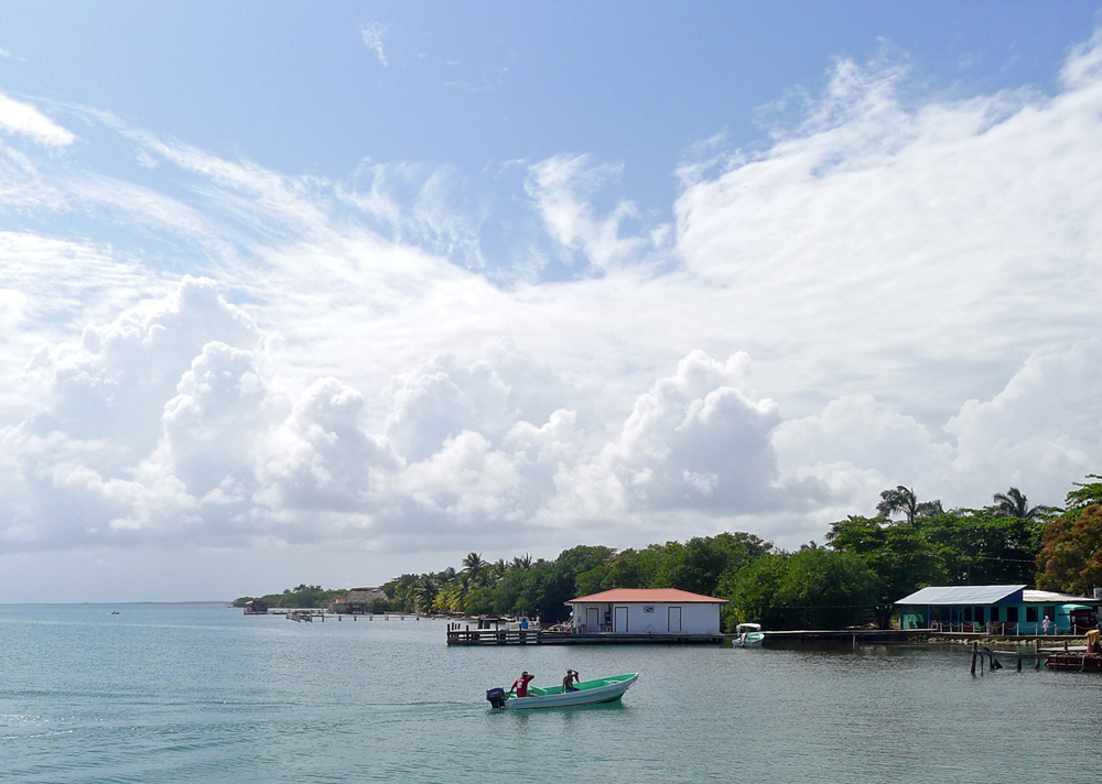 Hawksbill House